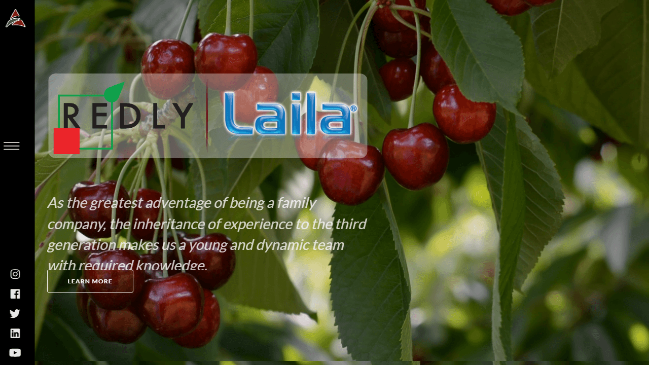 Ali Ana Meyve Sebze İşleme web sitesi