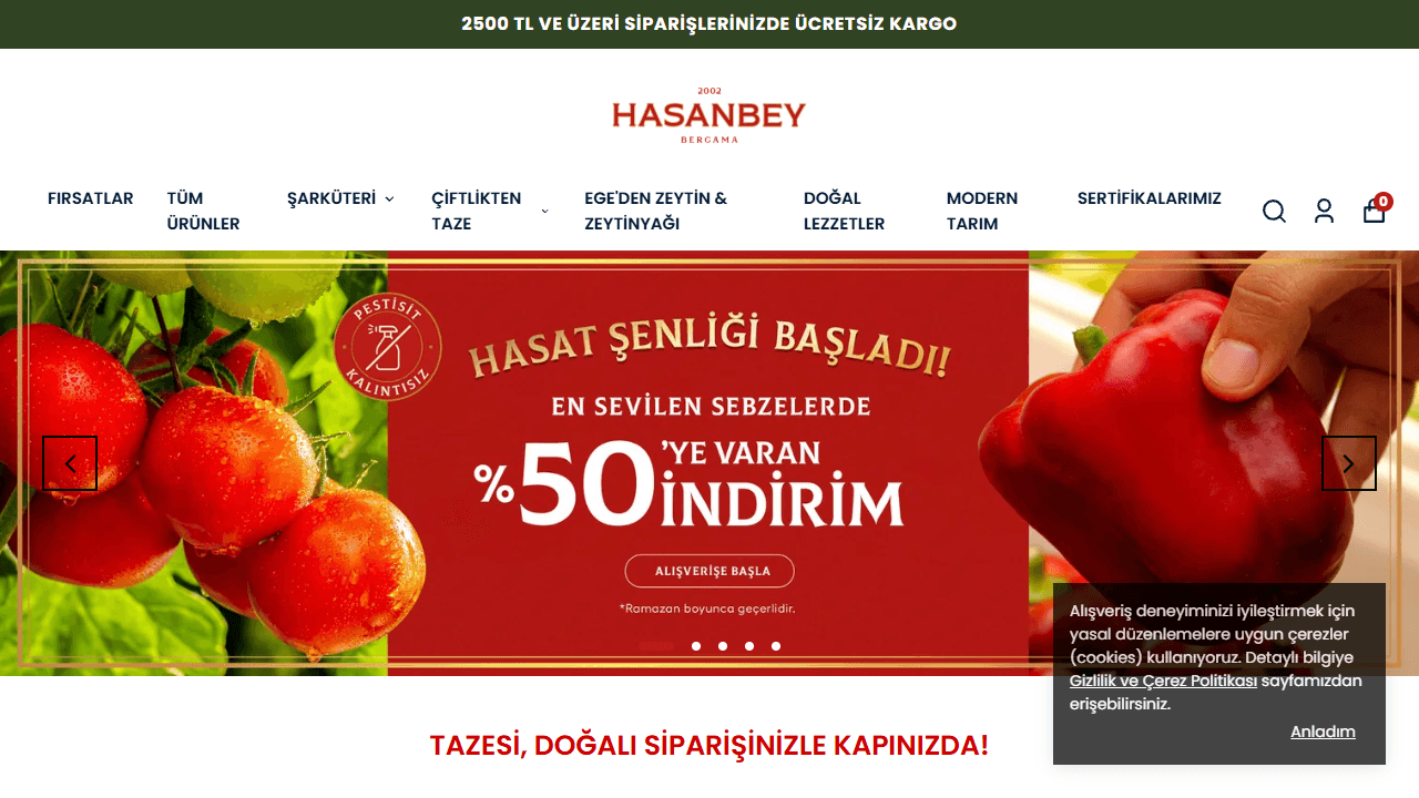 Hasanbey Gıda web sitesi