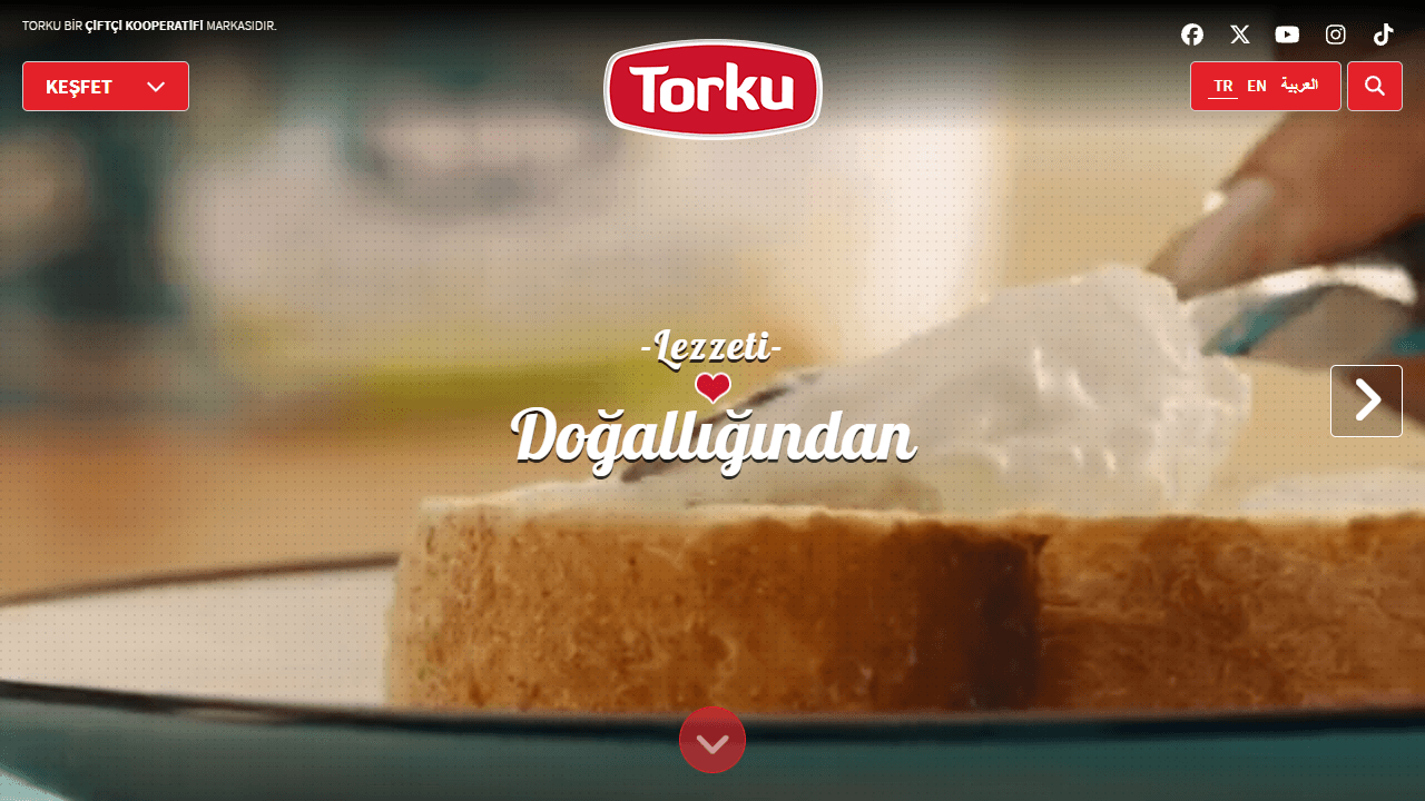 Torku web sitesi